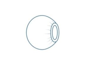 Osłona PE na aparat fotograficzny, aparaturę medyczną Ø50 cm jałowa,1 szt.